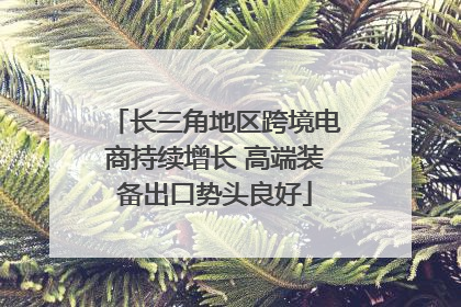 长三角地区跨境电商持续增长 高端装备出口势头良好
